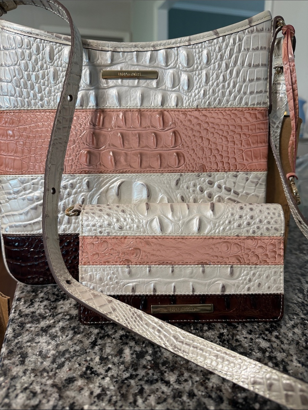 Brahmin bag and wallet Macaroon Cassini